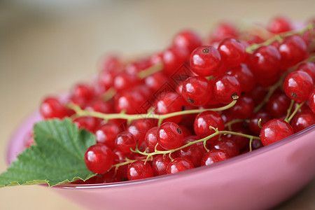 在粉红玻璃碗中的红草莓玫瑰浆果水果木头红色醋栗食物收成粉色叶子图片