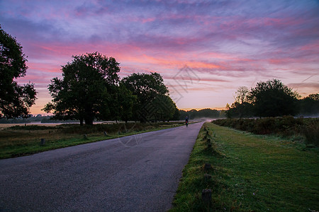 赛车运动员在日出时乘车经过英国萨里州里士满公园娱乐城市骑术沥青自行车王国运输紫色薄雾树木图片
