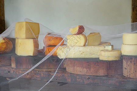 一家奶酪农场商店中传统干酪种类繁多木板工厂农民奶牛饮食贮存市场地窖生产金子图片