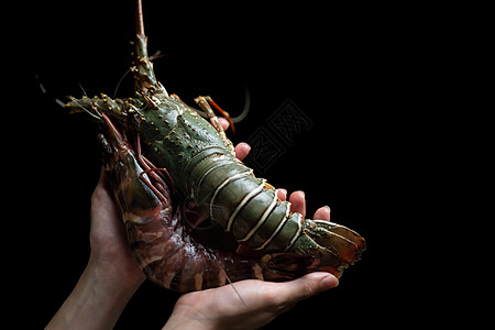 手持新鲜生虎大虾和龙虾的女子真实性海洋海鲜老虎厨房餐厅烹饪生鲜甲壳美食图片
