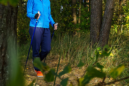 的女人在秋天的森林里做越野行走的棍子 妇女在秋天的公园里用斯堪的纳维亚的棍子徒步旅行冒险季节女性运动女士健走游客怀孕远足活力背景图片