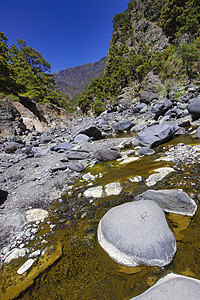 西班牙国家公园多样性森林野生动物河床环境岩石荒野山沟石头地理图片