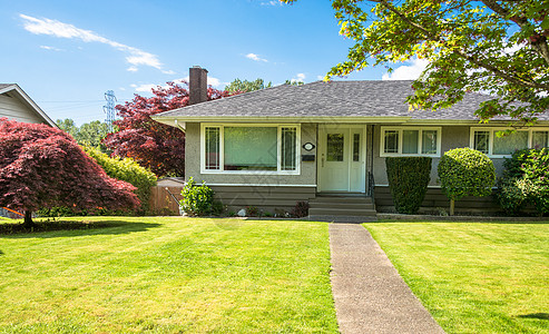北美平均住宅区 在前院有混凝土路口装饰财产途径植物脚步栅栏窗户房子绿化住宅图片