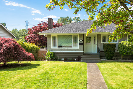 北美平均住宅区 在前院有混凝土路口窗户入口家庭石头蓝色脚步天空房子风格门阶图片