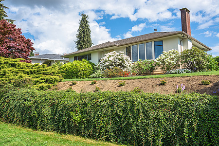 在加拿大不列颠哥伦比亚省阳光明媚的一天蓝色草地房子园林入口院子脚步装饰风格家庭图片