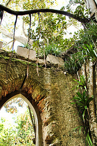 辛特拉一个绿叶花园的古老石头废墟花园植物建筑学旅行建筑绿色植物公园旅游森林历史性图片