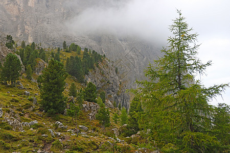 意大利多洛米特的福吉山地景观远足薄雾天空森林爬坡农村蓝色岩石假期石头图片