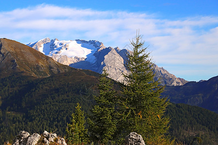 美丽的夏日风景 美妙的阿尔卑斯山和高山 多洛米特 意大利 欧洲中音墙纸岩石旅游晴天顶峰树木地标天空旅行图片