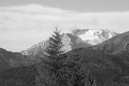 白云石山脉和森林  白云岩 意大利 欧洲假期风景旅行教会地标山脉中音环境爬坡高山图片