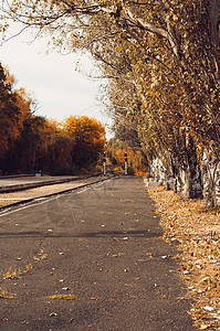 秋天晴朗的风景 在阳光明媚的 10 月 秋天公园里的一条路 地上有树木和落下的黄叶 设计模板踪迹环境叶子旅行车道季节铁路场景旅游图片