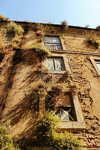 Lisbon街上有植物的旧面孔建筑胡同城市街道城市生活房子公寓建筑学古城景观图片