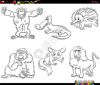 卡通鸟类动物角色设置着色书页剪贴针鼹黑与白爬虫填色吉祥物染色绘画彩书动物学图片