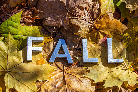 黄色秋天落叶时 用金属字母拼贴着一个字-有选择的焦点封起来图片