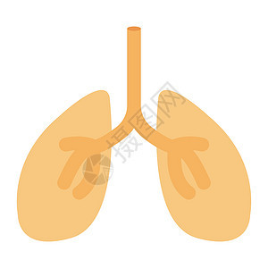 气息药品支气管疾病身体医疗气管解剖学呼吸健康癌症图片