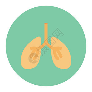 气息健康生物学癌症胸部气管药品器官解剖学呼吸支气管图片