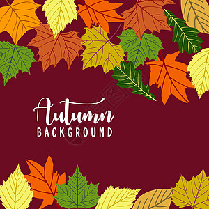 秋天背景与秋叶 自然秋季矢量概念 橙叶和黄叶季节性图示 请查看InfoFinland上的图片