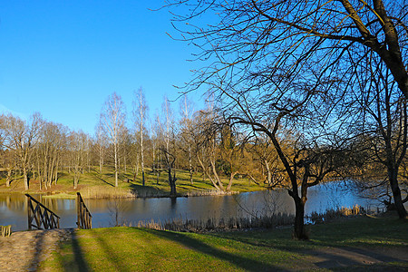 春初湖附近美丽的年轻树林 笑声环境旅行蓝色生长季节叶子树木天空太阳森林图片