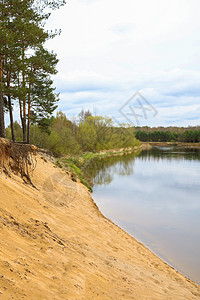 河边陡峭的沙滩 大片松林 有选择的重点蓝色边缘风景旅行悬崖障碍支撑植物森林池塘图片