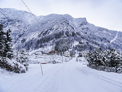 在挪威的雪路和风景中行驶森林小路国家乡村木头季节运输交通天气暴风雪图片