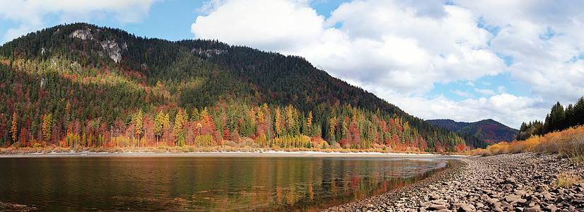 平静的湖水低  岸边的圆石可见 另一边是秋色的针叶树 上面是蓝天环境季节风景叶子全景天空树木树叶森林蓝色图片