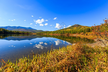 马加丹地区的性质 湖面美丽平坦 以彩色山丘和蓝天为背景 森林湖的迷人景色森林镜子反射蓝色高山天空荒野公园处女叶子图片