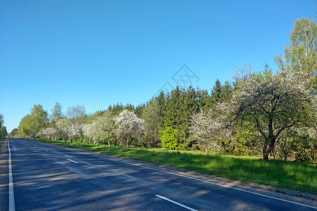 乡村公路的景色不错 春天是晴朗的一天图片