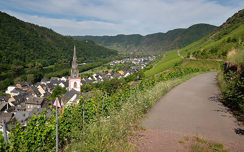 爱迪格尔埃尔勒 德国摩塞利结构天际建筑景点教堂环境全景山脉外观风景图片