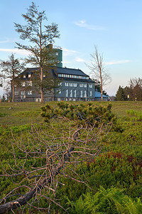 德国Sauerland地区首脑植物环境自然风景假期外观全景生物农村图片