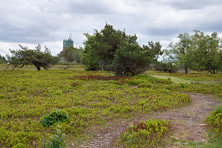 德国索埃尔兰地区的地貌景观首脑荒地风景植物群假期天空农村生物爬坡生境图片