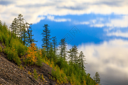 马加丹地区的性质 在平静湖的蓝水背景之下 林木在山坡上种植绿色火炬树;图片