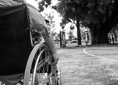 坐在轮椅上的残疾妇女的后部在户外休息图片