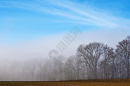 秋天降雾湿度阴霾蓝色薄雾草地季节性天气天空高地图片
