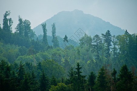 山林森林全景绿色爬坡牧歌土地国家图片