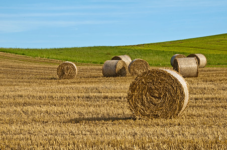 获取再置信息蓝色土地全景国家农业经济图片