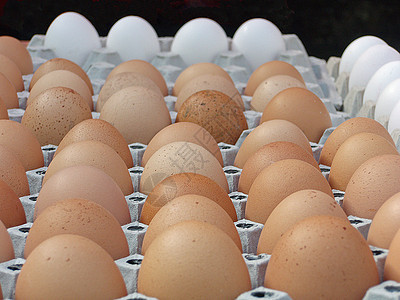 蛋健康食物生物游戏早餐图片