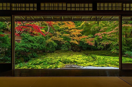 日本美丽花园京都罗里柯宁寺庙的日本秋天花园多姿多彩建筑学镜子叶子红色黄色森林琉璃光框架旅游神社背景