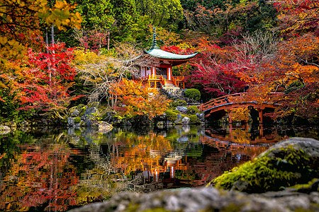 京都秋天戴高二寺庙 山林多彩图片