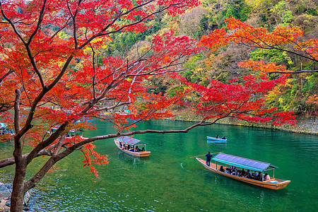 在京都沿河的秋季 充满多彩的阿拉希山叶子文化月桥旅游花园地标吸引力旅行季节木头图片