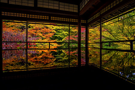 京都罗里柯宁寺庙的日本秋天花园多姿多彩镜子黄色旅行叶子森林反射框架琉璃光建筑学神社图片