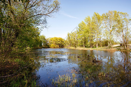 春天在丹尼佩尔河附近的树木反射天空绿色射线池塘波浪季节太阳光束蓝色图片