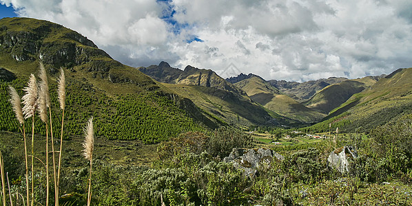 厄瓜多尔El Cajas国家公园山和山谷景观多样性生物爬坡生态旅游绿色草原环境湿地野生动物岩石图片