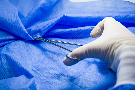 医生手中的手术钳 在蓝色背景下 工作室拍摄 操作设备 手术过程解剖学程序外科工具诊所手术台采摘钳子药品乐器图片