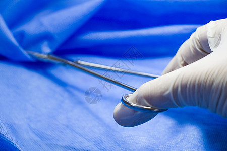 医生手中的手术钳 在蓝色背景下 工作室拍摄 操作设备 手术过程手术台解剖学手套医院金属工具程序乐器刀刃钳子图片