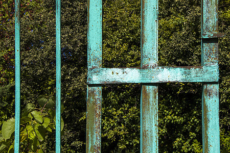 花园 植物和旧金属蓝色围栏中的栅栏理念安全框架保护建造栏杆天空边界建筑学日光图片