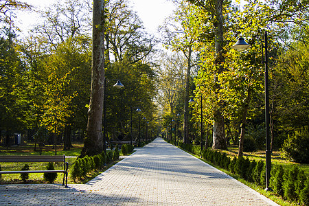 祖格迪迪博塔尼茨花园城市途径石路绿化太阳荒野花园绿色草地美化图片