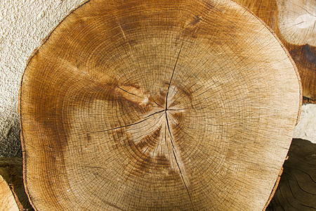 木制背景 砍树模式 砍伐和干燥树的纹理 树龄年轮 木制背景上的裂缝圆圈日志树桩树干材料林业老化生长森林同心图片