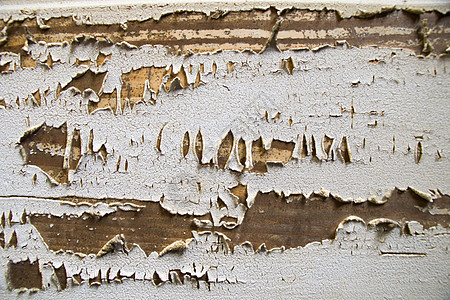 木质材料背景 木门与白色旧破木漆 干垃圾和质朴的木制背景图片