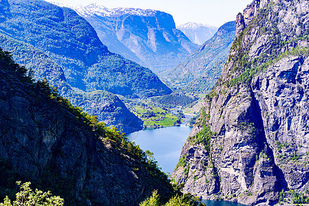 fjord岸上的农场图片