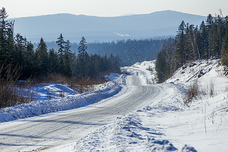 在遥远的俄罗斯泰加边上 雪覆盖着长高的隐形树通过路口植物旅行桦木驾驶树干阳光大雪针叶林冻结道路图片