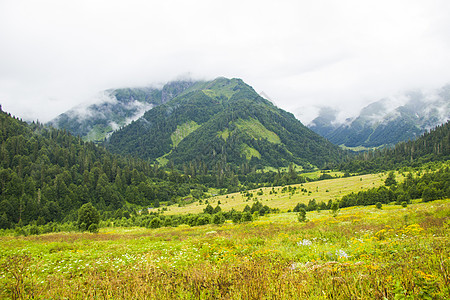 格鲁吉亚斯瓦涅蒂的奇妙和惊人的景观 雾雾和迷雾山风景荒野场地爬坡公园高山花朵季节国家探索松树图片